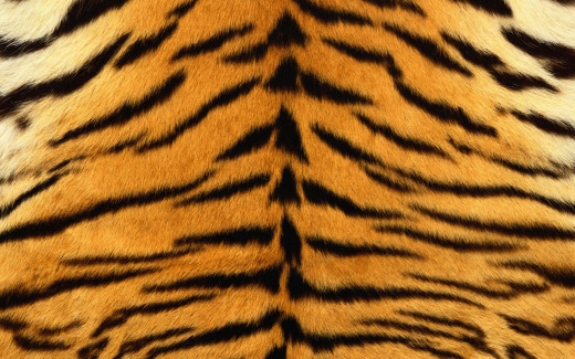 448823 (a): :1920x1200
